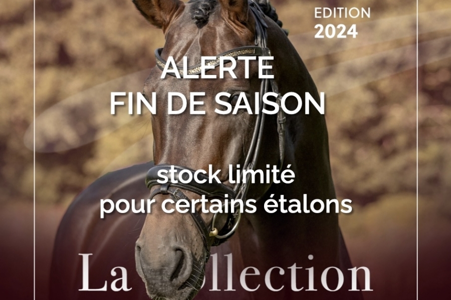 ALERTE FIN DE SAISON