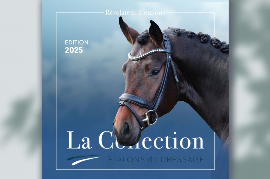 La Collection Etalons Dressage 2025
