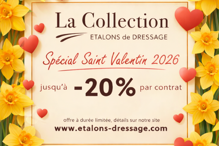 La Collection Etalons fête la  SAINT VALENTIN