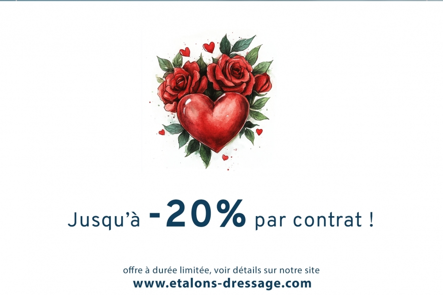 Offre exceptionnelle pour la SAINT VALENTIN