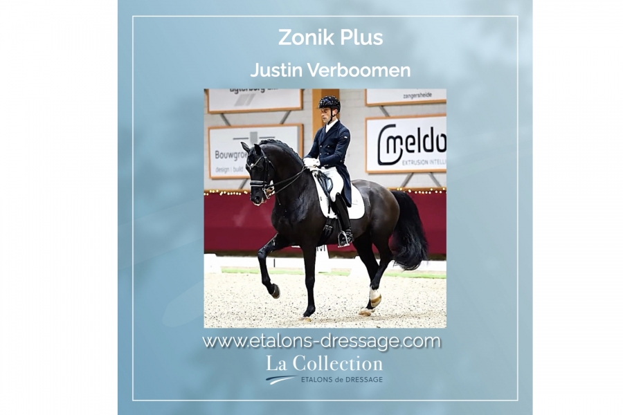 Zonik Plus et Justin Verboomen :  2025 l'année de la consécration